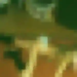 Profil de Hermine à Trélazé (20 ans) - rencontre plan cul anonyme