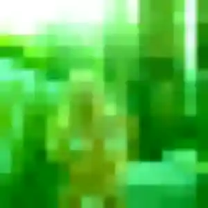 Rejoins Clementine, 31 ans à Tremblay-en-France gratuitement