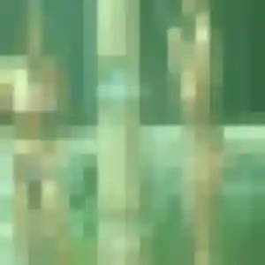 Photo de Zara à Valdahon (25 ans) - rencontre plan cul gratuit