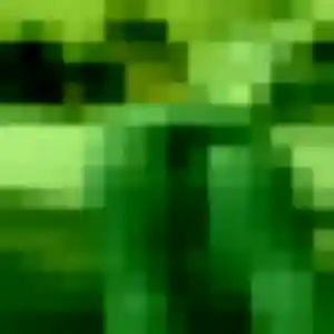 Découvre Eglantine, 37 ans à Vallet en privé