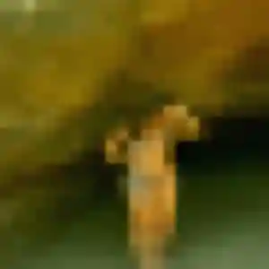 Wanda de Vallet, 29 ans - rencontre plan cul sans prise de tête