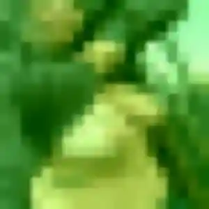 Karine, femme de 33 ans propose rencontre plan cul à Vaulx-en-Velin