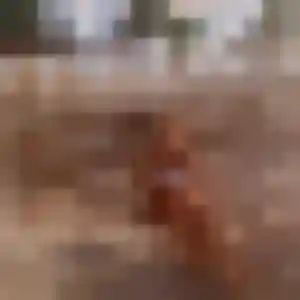 Nicole de Vaux-le-Pénil, 34 ans - rencontre plan cul en toute liberté