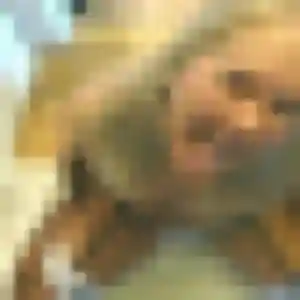 Belle Christine, 38 ans à Vélizy-Villacoublay - voir sa photo