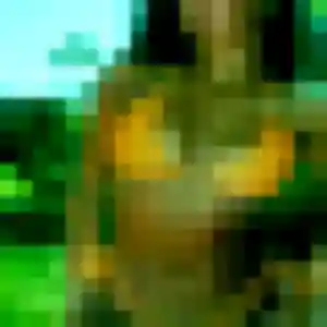 rencontre plan cul à Vern-sur-Seiche : photo de Margaux, 44 ans - sans engagement