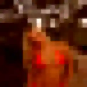 Profil de Marie-Pierre à Verrières-en-Anjou (24 ans) - rencontre plan cul sans inscription