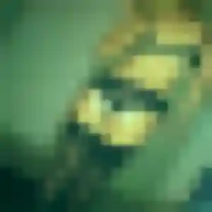 Salima (42 ans) à Vif attend une rencontre maintenant