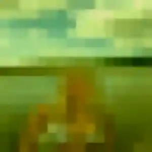 Rosalie (36 ans) à Ville-la-Grand propose une rencontre aujourd'hui