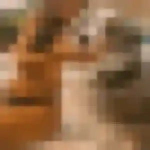 Cindy (31 ans) à Villenave-d'Ornon attend un rencontre plan cul maintenant