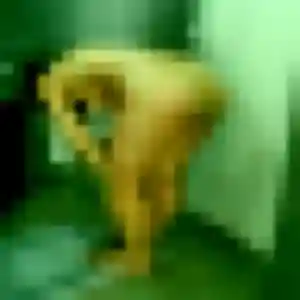 Dorothee, 35 ans, disponible à Villeneuve-d'Ascq pour une rencontre coquine