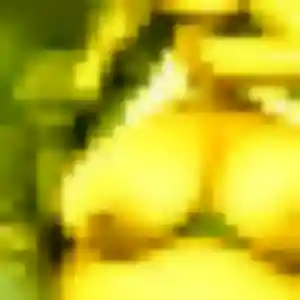 Leontine de Villeneuve-en-Retz, 32 ans - rencontre plan cul discret