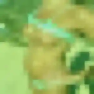 Lisette, 23 ans, connectée à Viry-Châtillon pour un rencontre plan cul