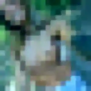 Ariane de Voreppe, 34 ans - rencontre plan cul sans prise de tête