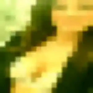 Rejoins Iris, 30 ans à Voreppe gratuitement