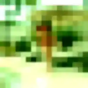 Sara, 26 ans, connectée à Wasquehal pour un rencontre plan cul