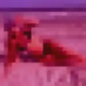 Charmante Eleonore, 41 ans à Wattrelos - la contacter